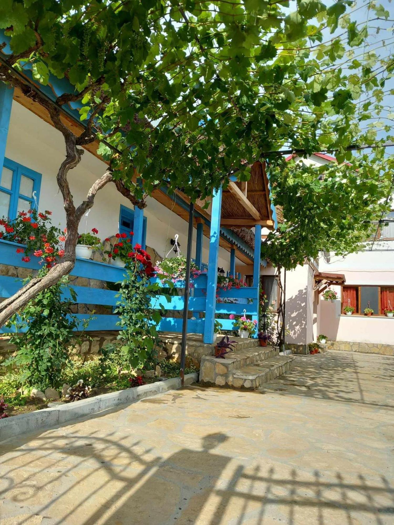 فندق Casa Rasaritul Soarelui Sarichioi المظهر الخارجي الصورة