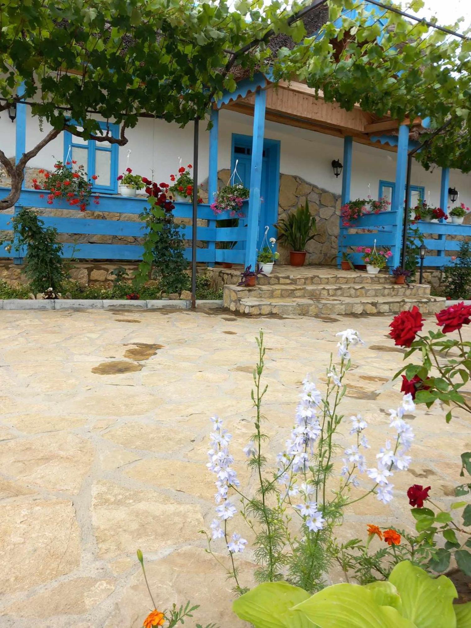 فندق Casa Rasaritul Soarelui Sarichioi المظهر الخارجي الصورة